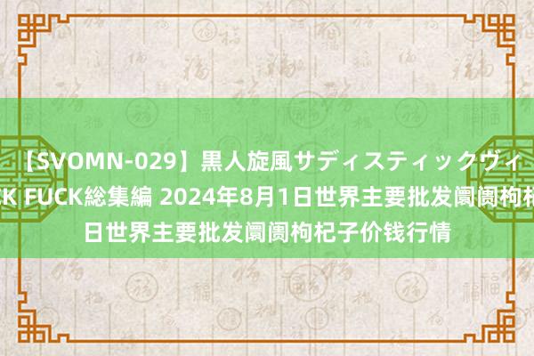 【SVOMN-029】黒人旋風サディスティックヴィレッジBLACK FUCK総集編 2024年8月1日世界主要批发阛阓枸杞子价钱行情