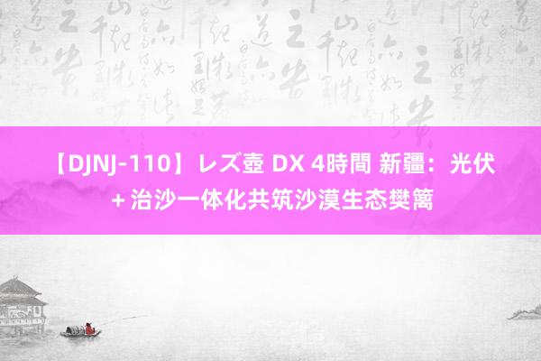 【DJNJ-110】レズ壺 DX 4時間 新疆：光伏＋治沙一体化共筑沙漠生态樊篱