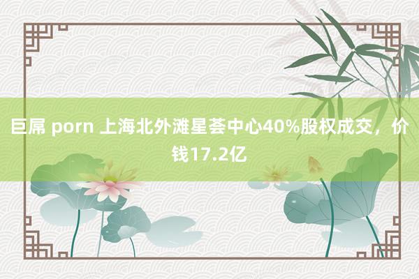 巨屌 porn 上海北外滩星荟中心40%股权成交，价钱17.2亿