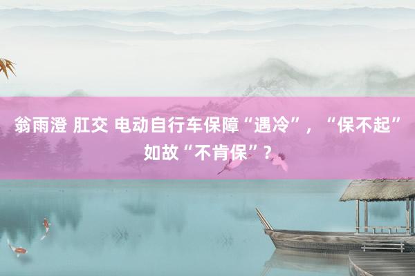 翁雨澄 肛交 电动自行车保障“遇冷”，“保不起”如故“不肯保”？