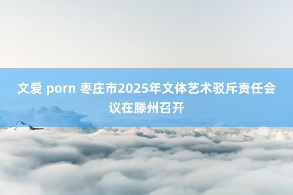 文爱 porn 枣庄市2025年文体艺术驳斥责任会议在滕州召开