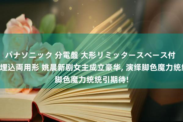 パナソニック 分電盤 大形リミッタースペース付 露出・半埋込両用形 姚晨新剧女主成立豪华， 演绎脚色魔力统统引期待!