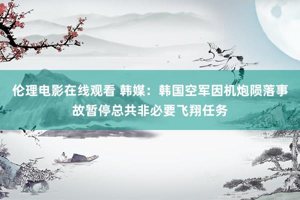 伦理电影在线观看 韩媒：韩国空军因机炮陨落事故暂停总共非必要飞翔任务