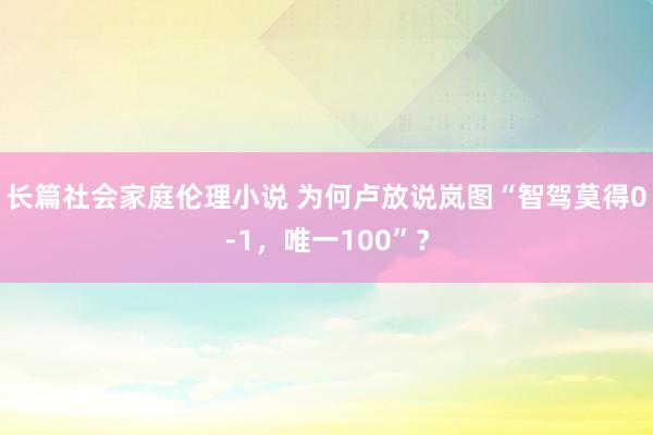 长篇社会家庭伦理小说 为何卢放说岚图“智驾莫得0-1，唯一100”？
