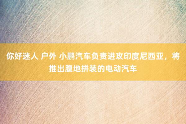 你好迷人 户外 小鹏汽车负责进攻印度尼西亚，将推出腹地拼装的电动汽车