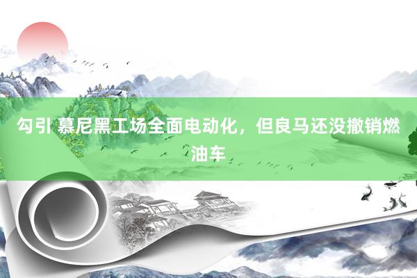 勾引 慕尼黑工场全面电动化，但良马还没撤销燃油车
