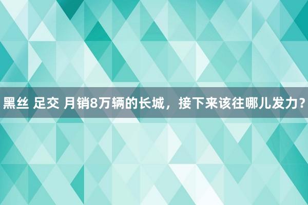 黑丝 足交 月销8万辆的长城，接下来该往哪儿发力？