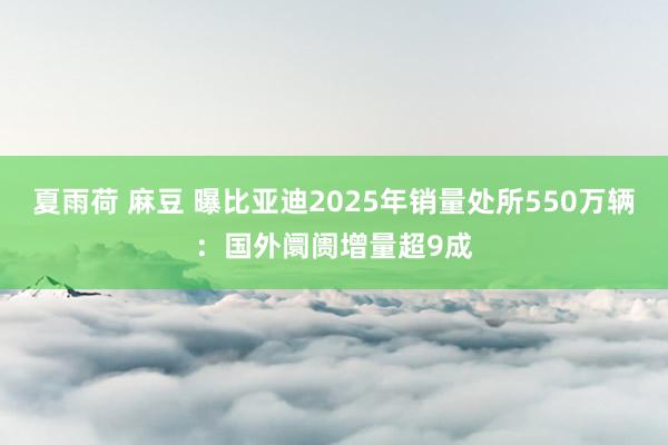 夏雨荷 麻豆 曝比亚迪2025年销量处所550万辆：国外阛阓增量超9成